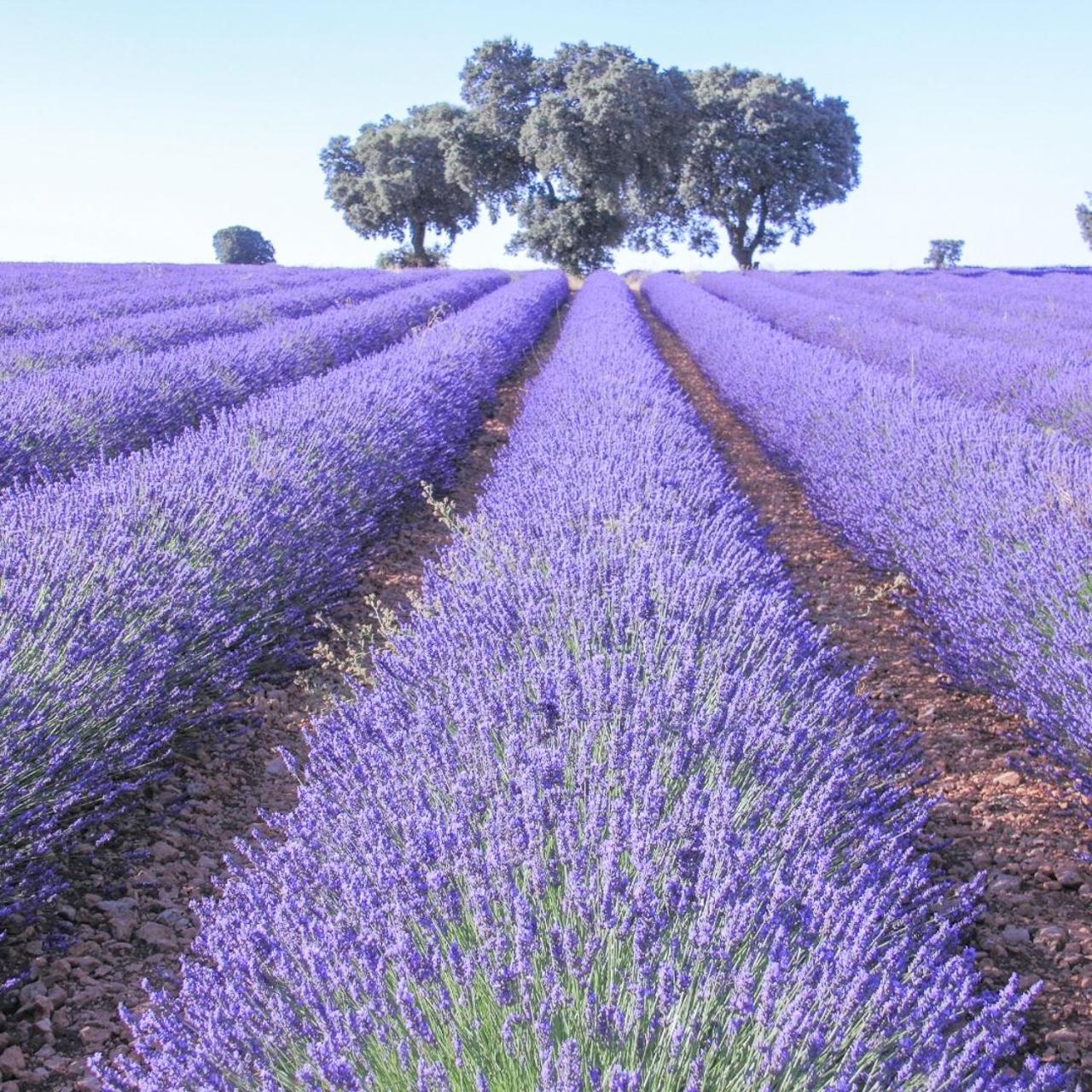 Le Cosy Valcros, Design Et Confort Aix-en-Provence Bagian luar foto